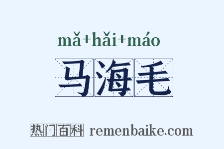 马海毛是什么意思的图片